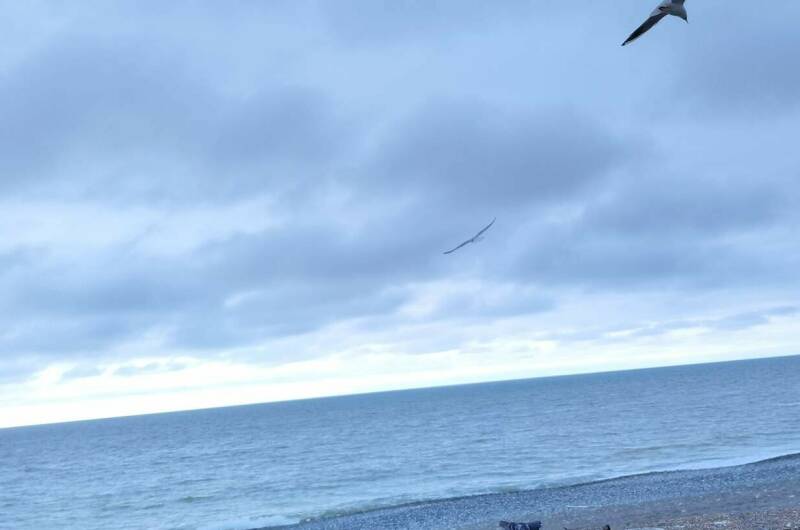 Гостевой дом «У Риты»