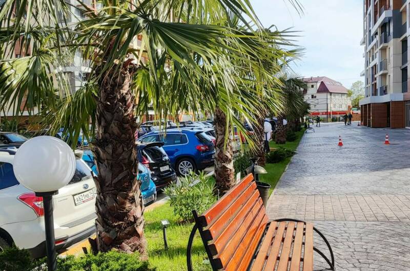 Апартаменты-студия у моря