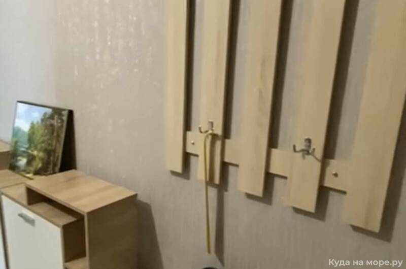 Квартира в центре Хосты