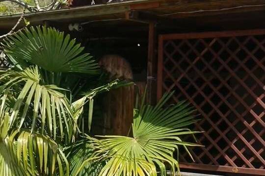 Дом под ключ «Теремок»