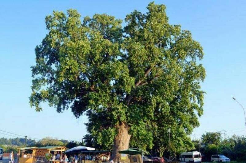 Гостевой дом «Пикантный»