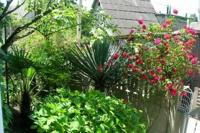 Гостевой дом «Славянка»