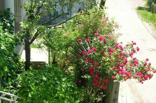 Гостевой дом «Славянка»