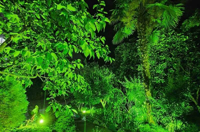 Гостевой дом «Бамбуковая роща»