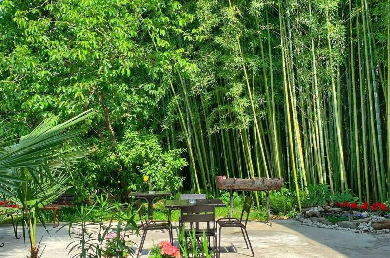 Гостевой дом «Бамбуковая роща»