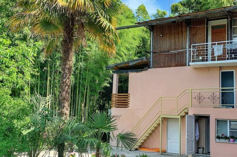 Гостевой дом «Бамбуковая роща»