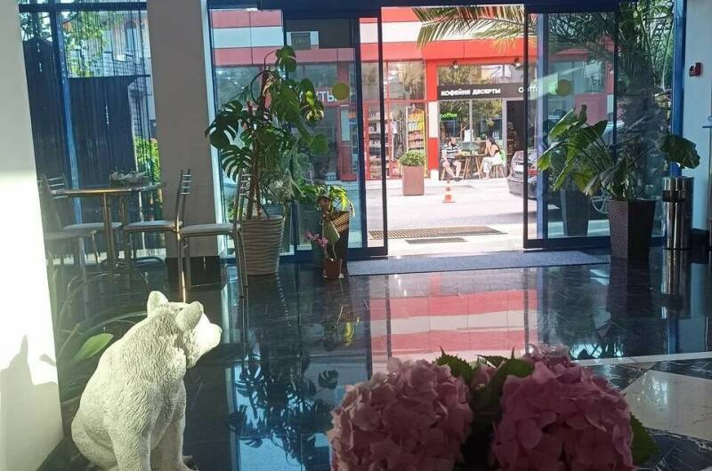 Гостевой дом «София»