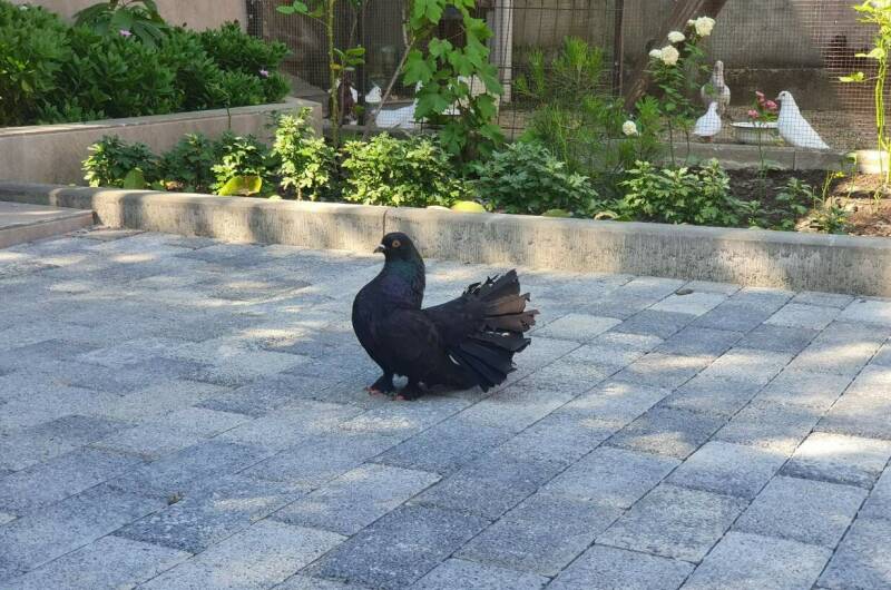 Гостевой дом «На Сьянова 5»