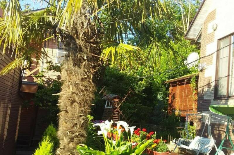 Гостевой дом «Новая Грация»