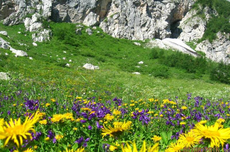 Эко-дом под ключ «Ветряная Мельница»