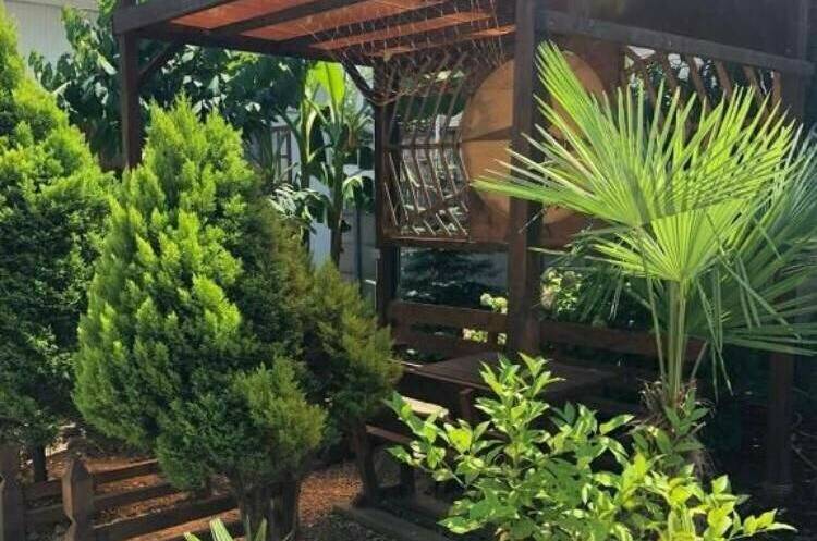 Гостевой дом «Тропиканка»