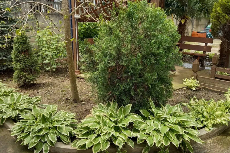 Гостевой дом «Тропиканка»