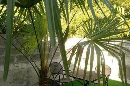 Гостевой дом «Тропиканка»