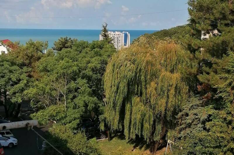 2-х комнатная квартира