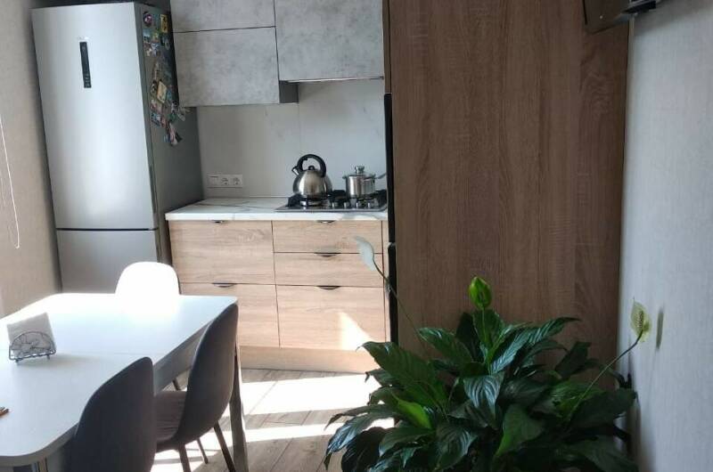 Квартира в центре Хосты