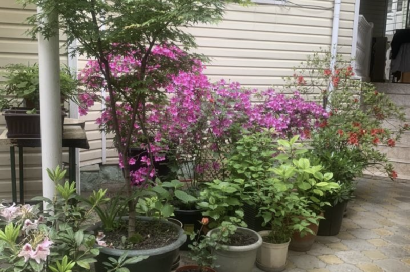 Комната под ключ с удобствами