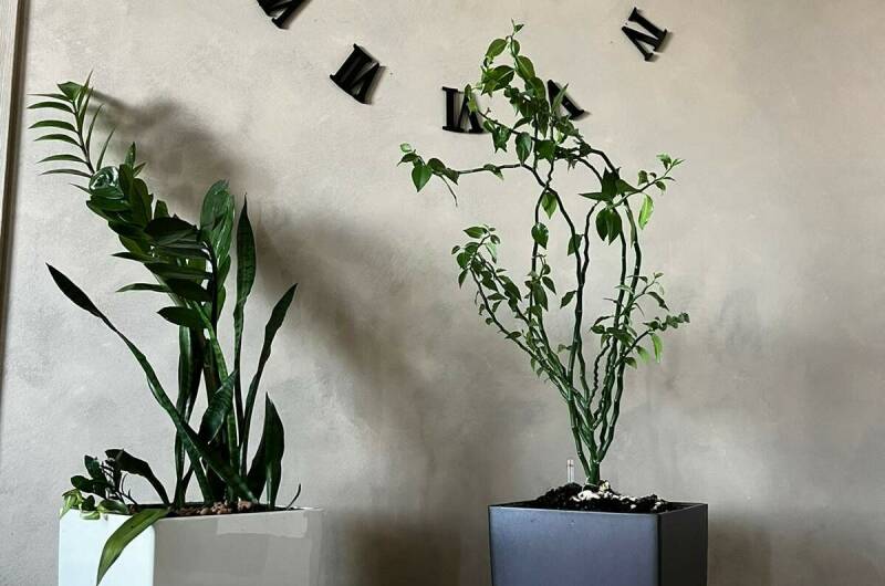 Апартаменты в ЖК «Первомайский»