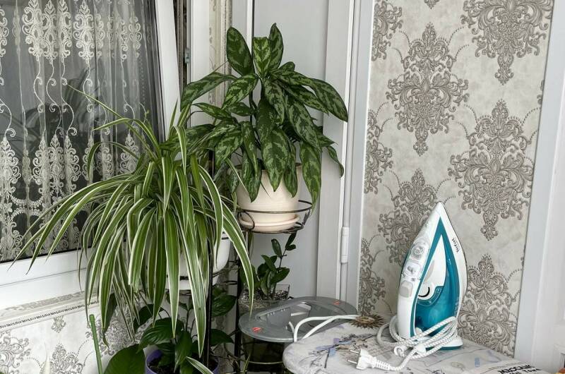 Однокомнатная квартира на Лазарева 54