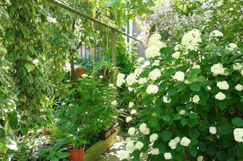 Частный дом «Карусель»