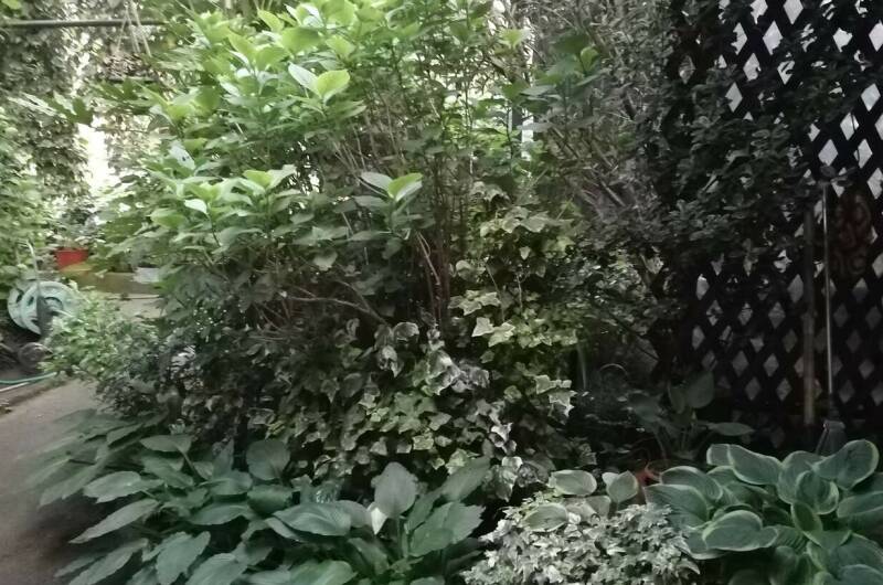 Частный дом «Карусель»