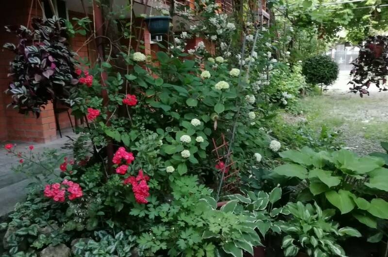 Частный дом «Карусель»