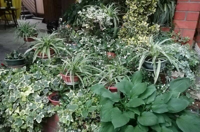 Частный дом «Карусель»