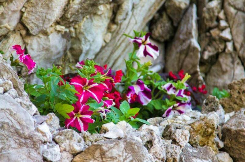 Гостевой дом «Виктория»