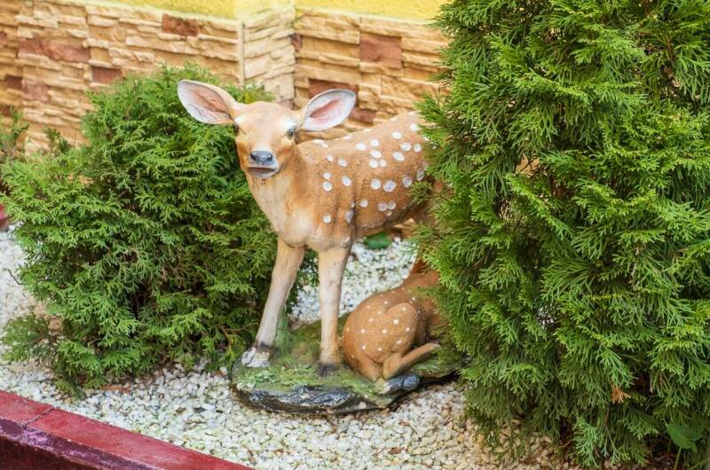 Гостевой дом «Дольче»