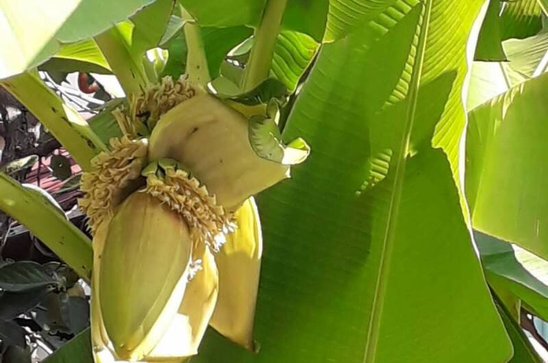 Гостевой дом «Отдых у моря корп.2»