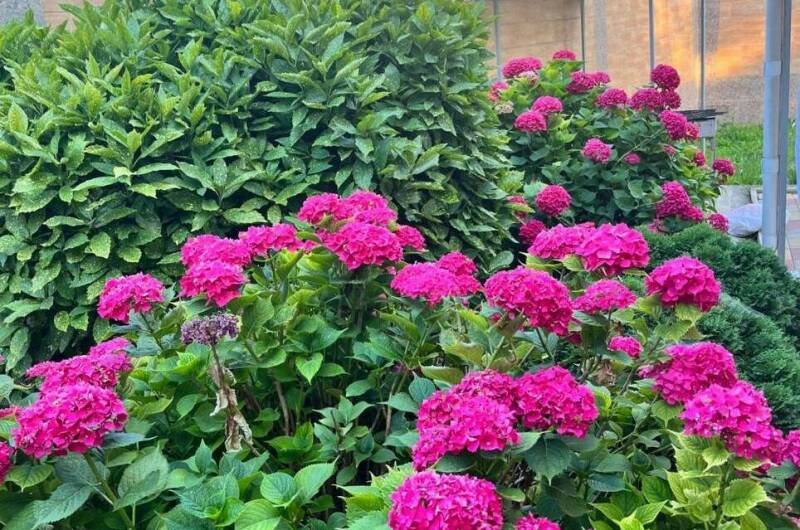 Коттедж под ключ