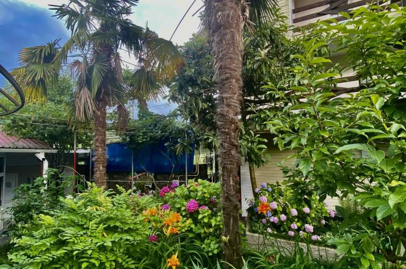 Частное домовладение «Александрия»