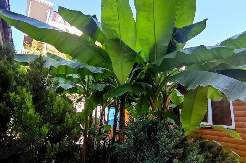 Частный сектор на Чкалова