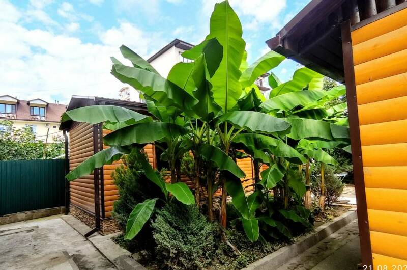 Частный сектор на Чкалова