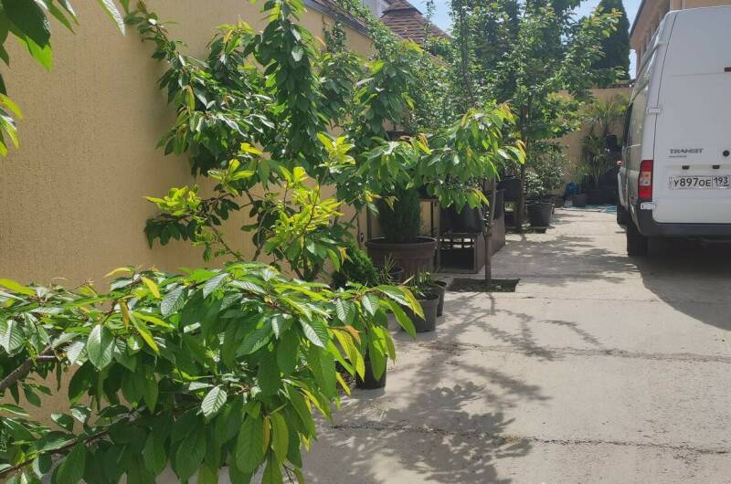 Гостевой дом «Эксклюзив»