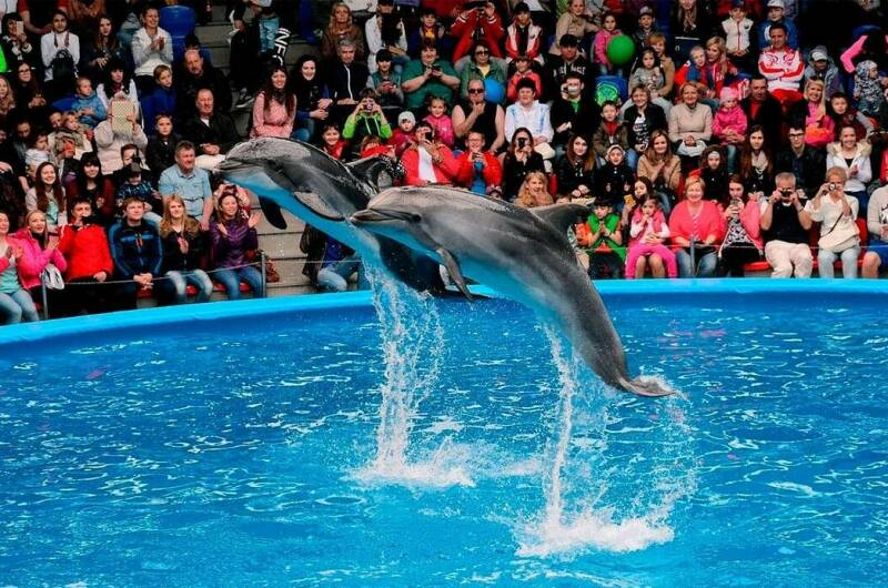 Гостевой дом «Русалка»