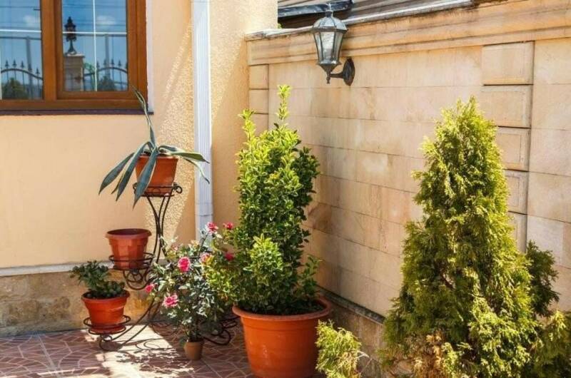 Гостевой дом «Сияние»