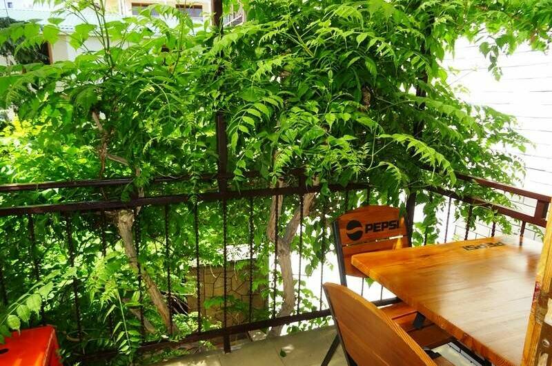 Гостевой дом «Виноградная лоза»