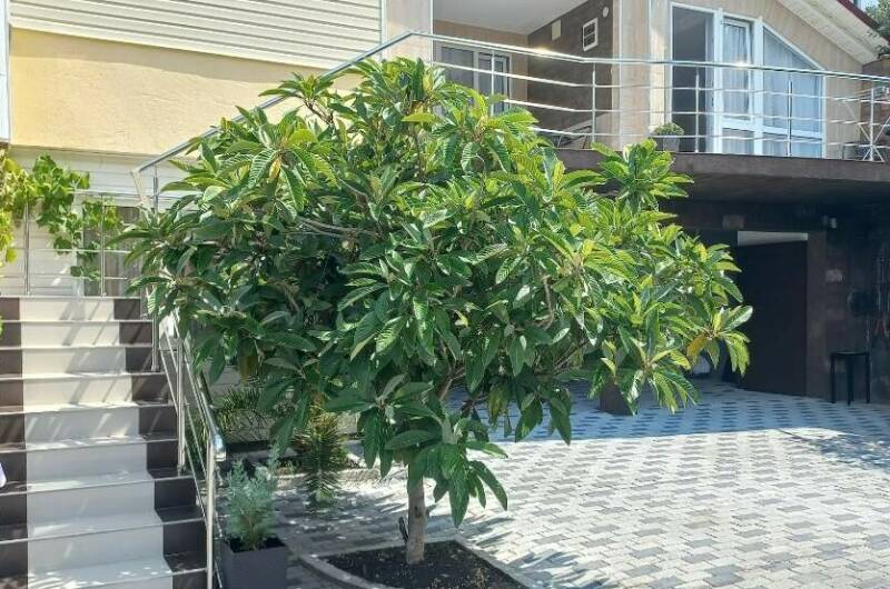 Гостиный дом «Семейный»