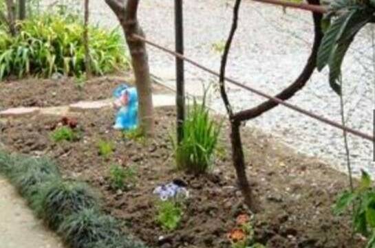 Частный сектор «Инжир»