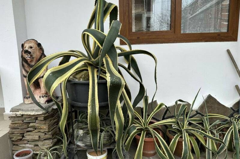 Гостевой дом «Анита»