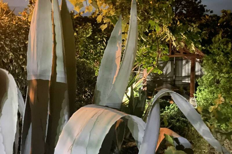 Гостевой дом «Дача»