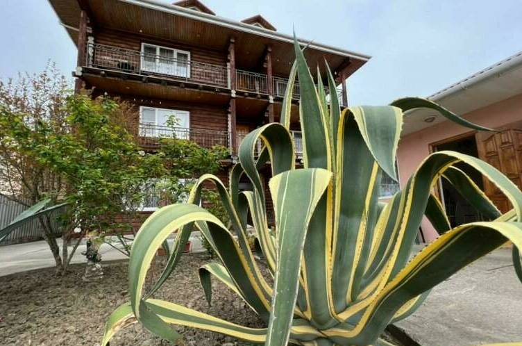 Гостевой дом «EcoRest»