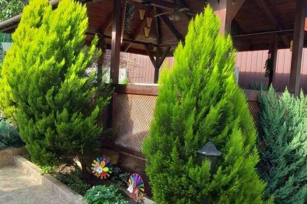 Гостевой дом «Jannet»