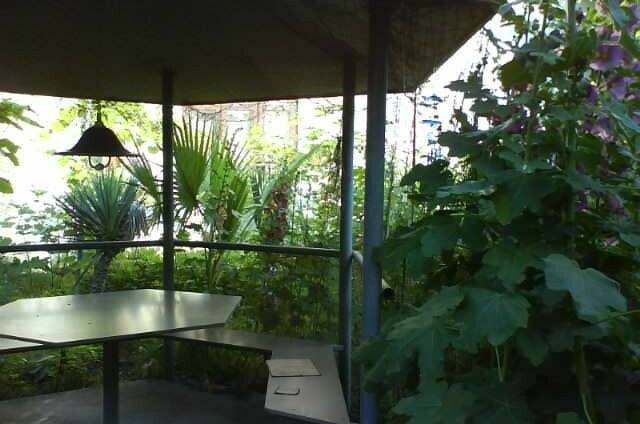 Гостевой дом «Зеленый остров»