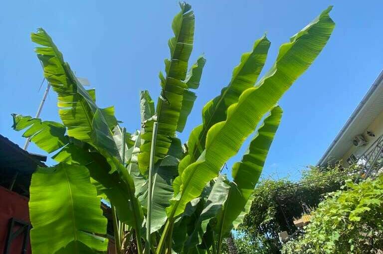 Гостевой дом «Венеция»