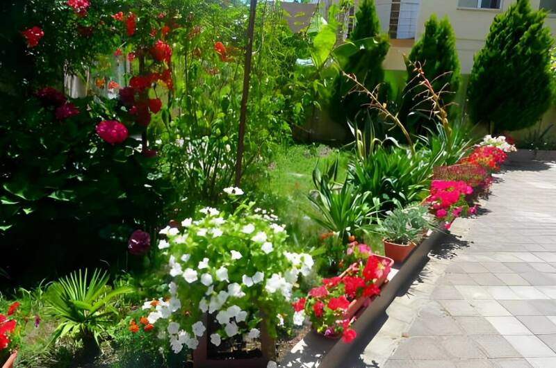 Гостевой дом «Уютный»