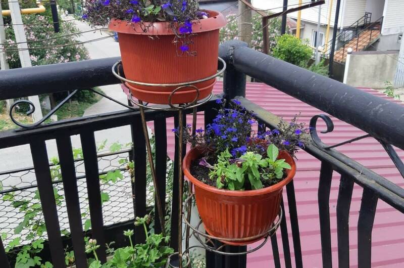 Гостевой дом «Золотая рыбка»