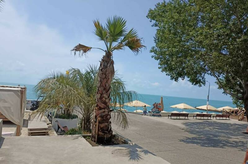 Евродвушка на первой береговой линии