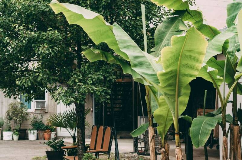 Дом под ключ «Вистерия»