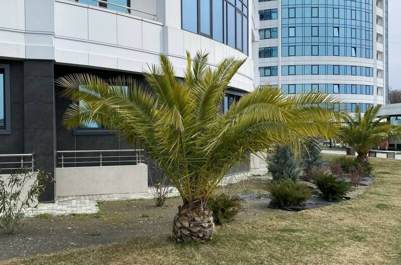 Видовая квартира